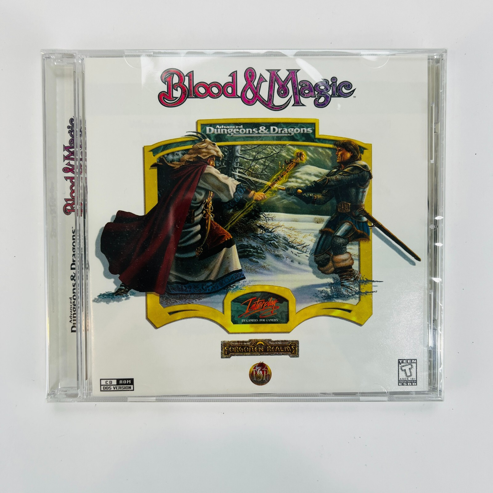 Advanced Dungeons & Dragons Blood and Magic PC CD-Rom Fantasy Role Playing NEW!!