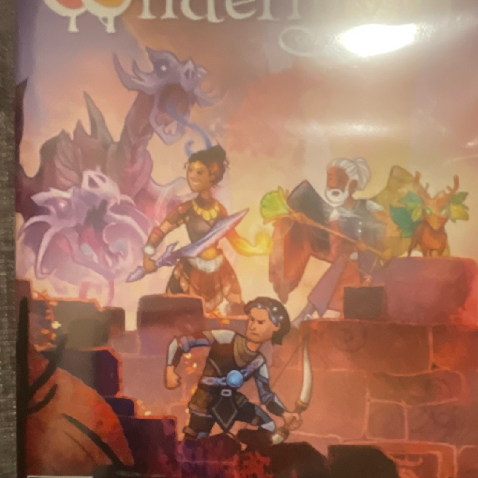 Nighthawk Wildermyth Nintendo Switch Fantasy T-Teen Local Co-Op Manual Included