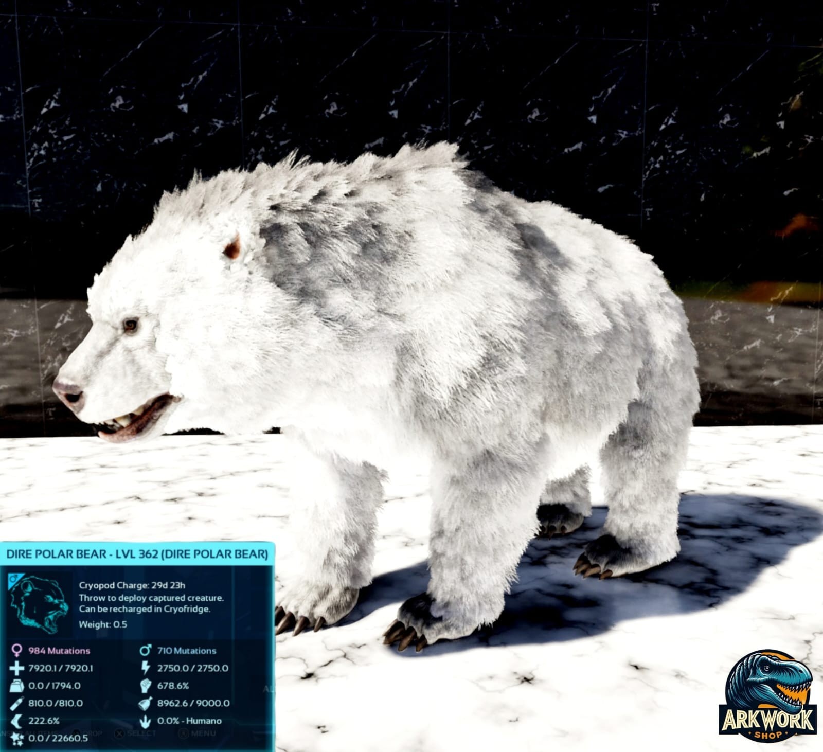 🦖ARK Survival Ascended Polar Bear Top Stats PVE PS5/XBOX/PC