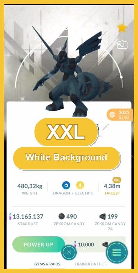 Pokémon- Shiny Zekrom Size XXL – Background White – Instant Deliver