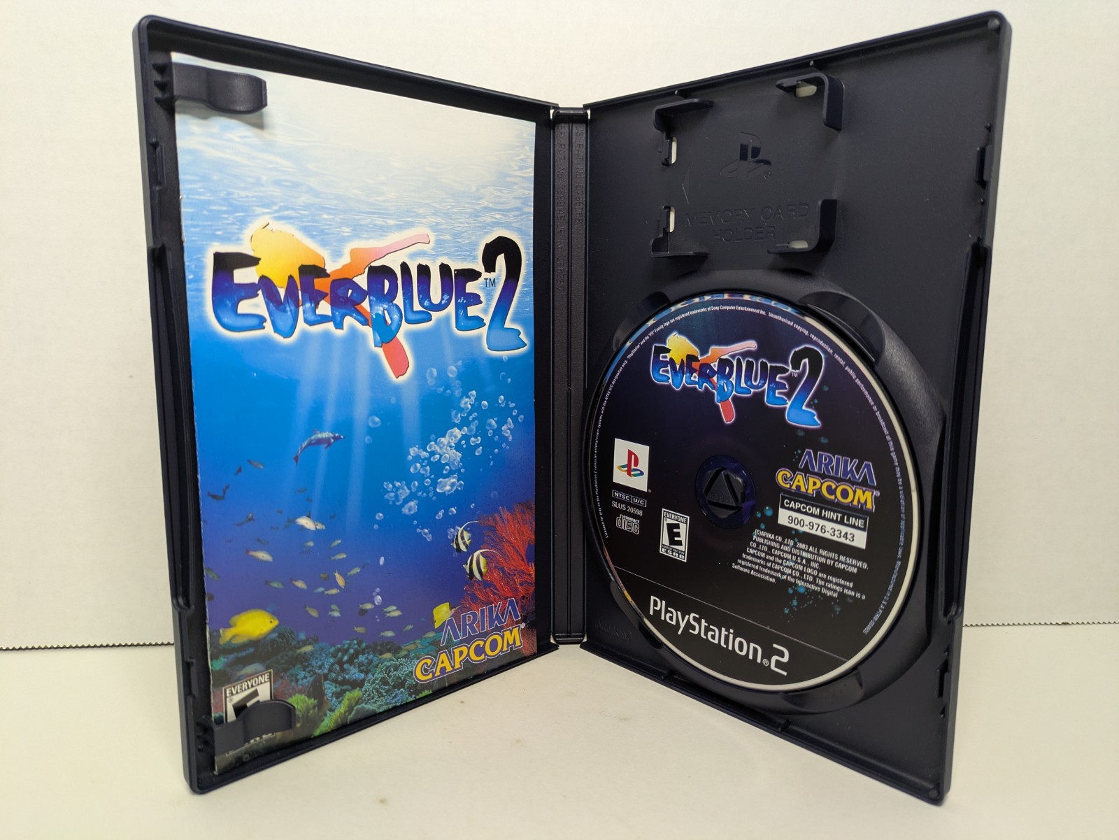 EverBlue 2 (Sony PlayStation 2, PS2, 2003) Clean Complete CIB Tested Working