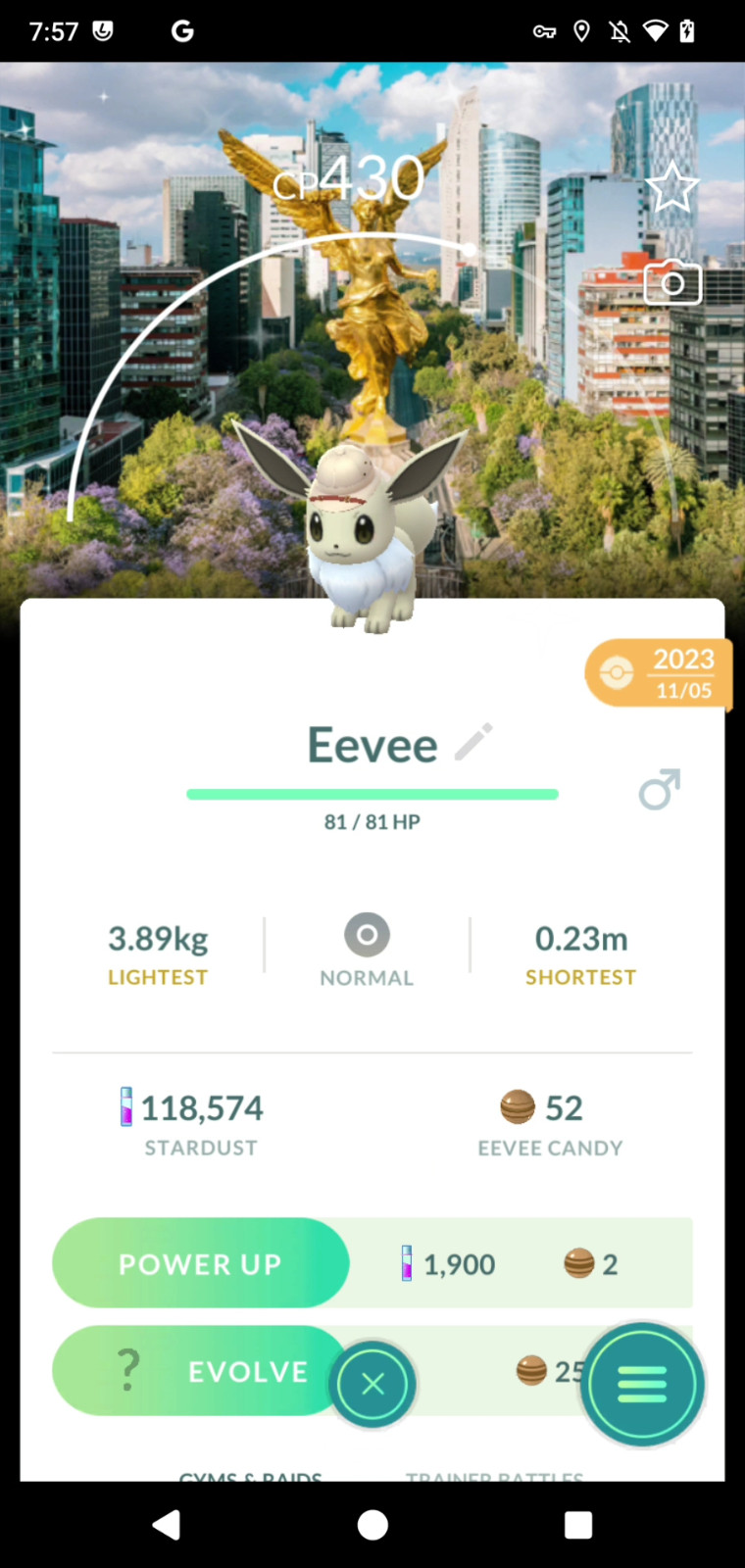 Shiny Eevee Safari Mexico Background ✨TRADE 20k/1M Dust