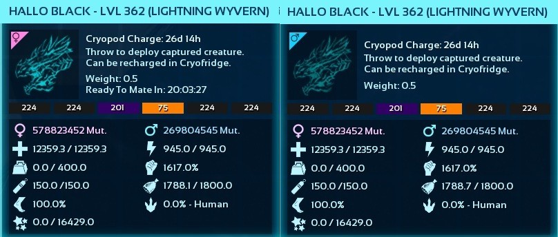 ARK Survival Ascended PvE WYVERN Lightning HALLOWEEN V2 TOP 1617 PC/XBOX/PS5 ASA