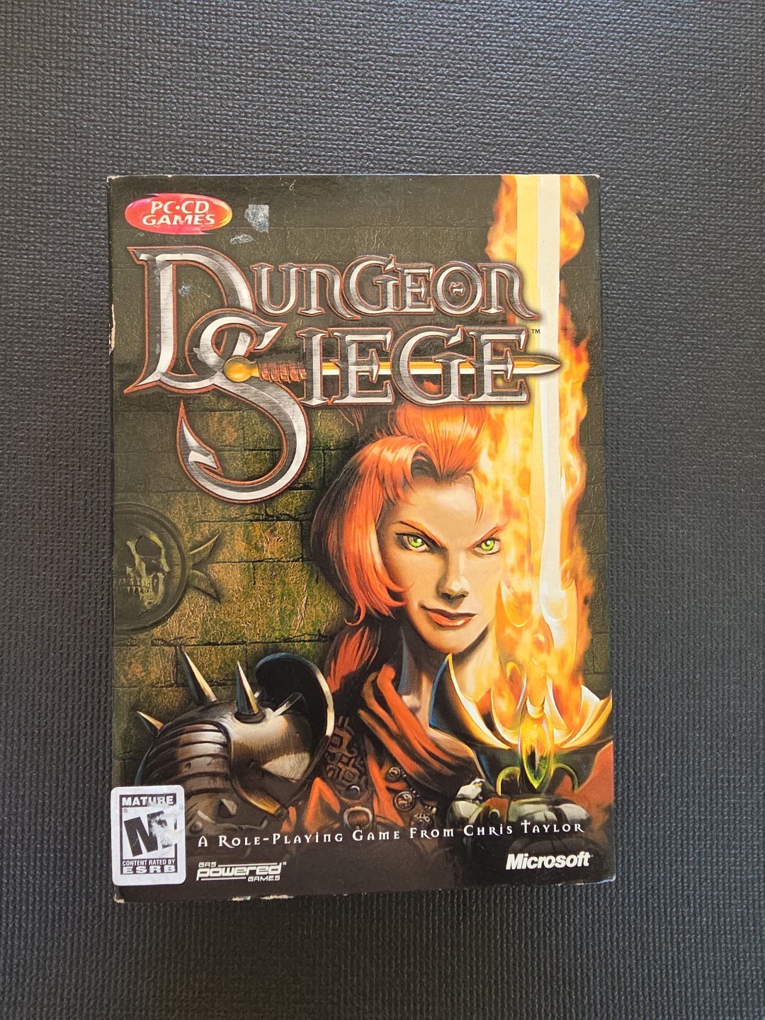 RARE DUNGEON SIEGE PC-CD Video Game 2 CD Role Playing CHRIS TAYLOR RPG Fantasy