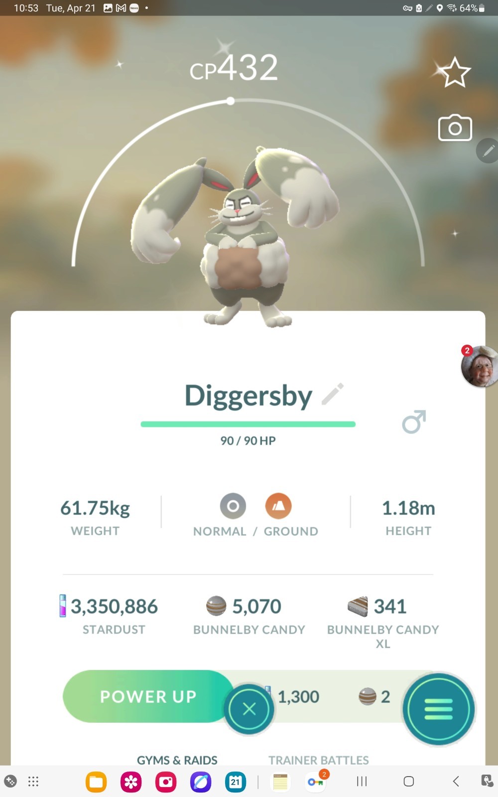 Shiny Diggersby in GO. Custom OT to Home read description