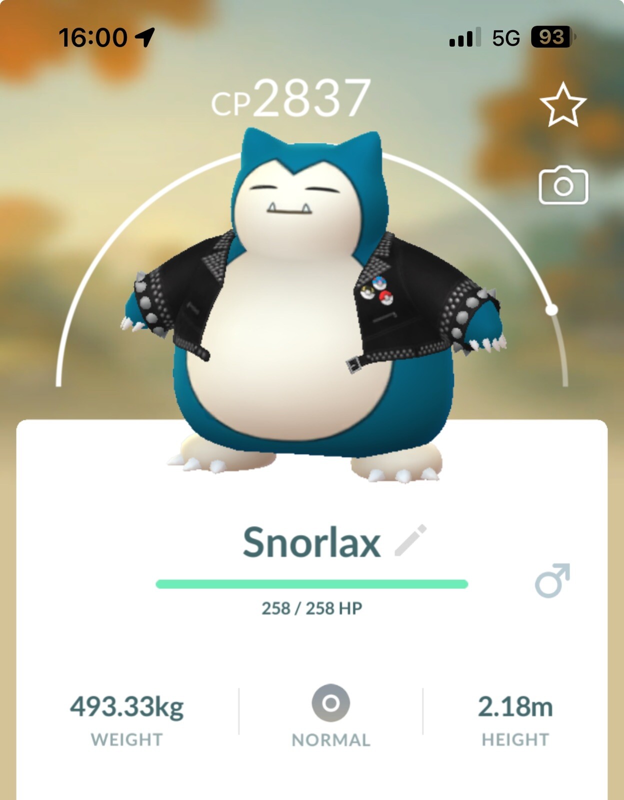 Snorlax Studded Jacket Costume Event Pokemon Trade Go Pokémon High Level