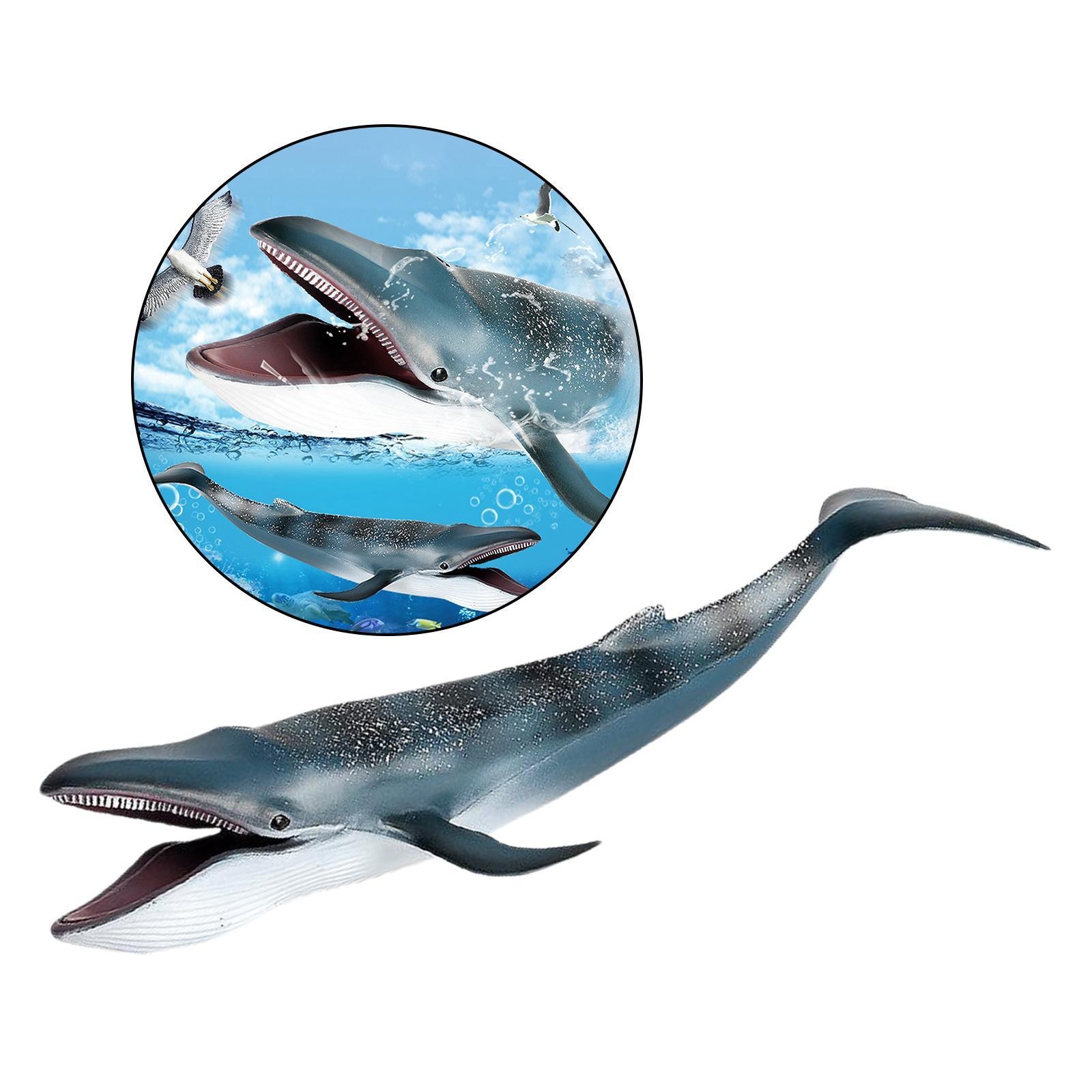 Action Figures Sea Animal Creature Model Learning Toy