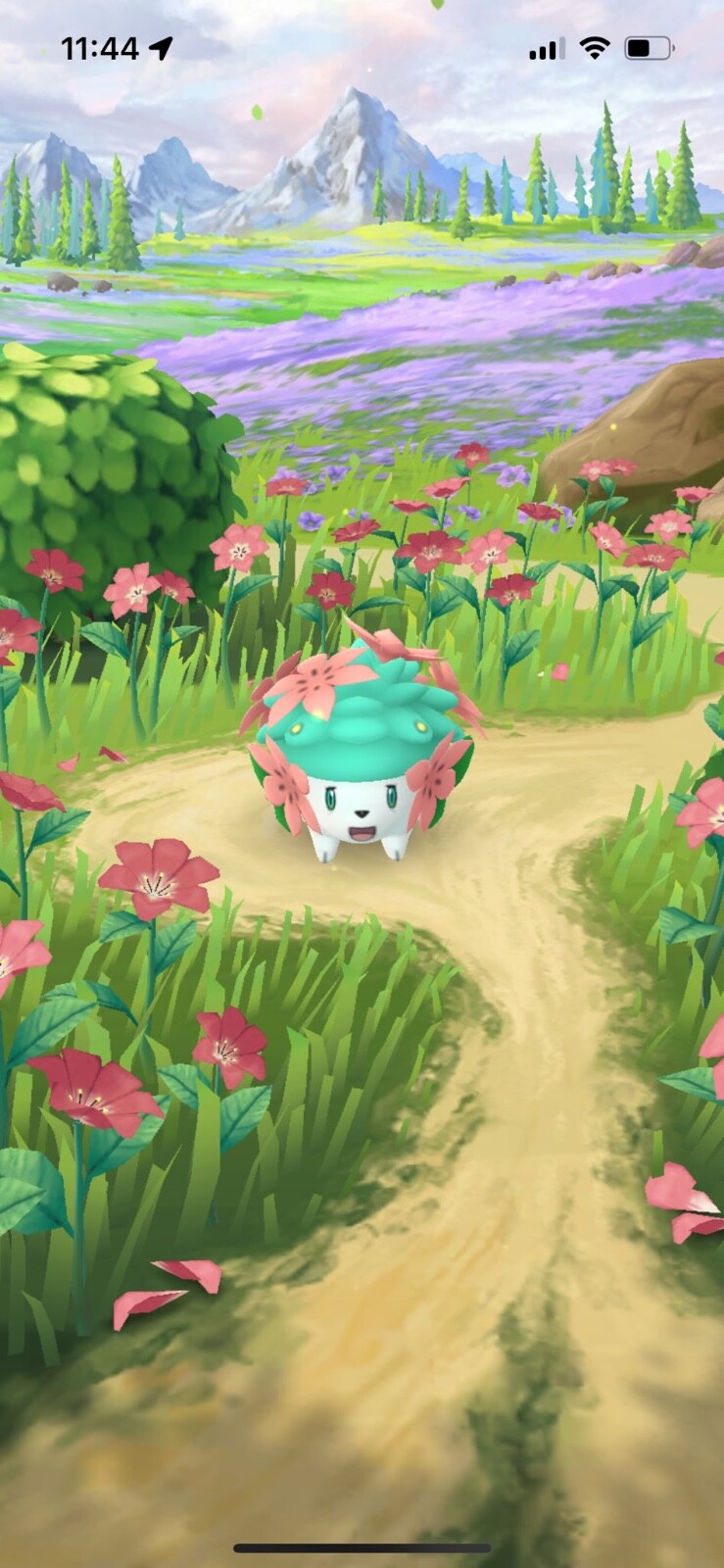 RARE SHINY SHAYMIN POGO | CHOOSE FORM | CUSTOM OT| PoGo Home Transfer