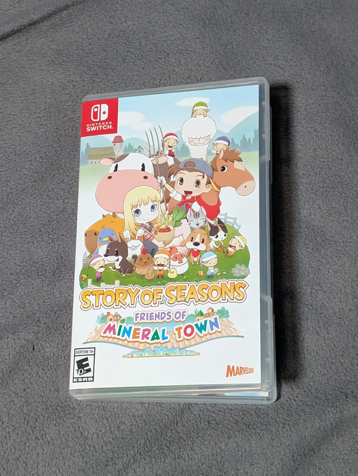 Story of Seasons: Friends of Mineral Town – Nintendo Switch