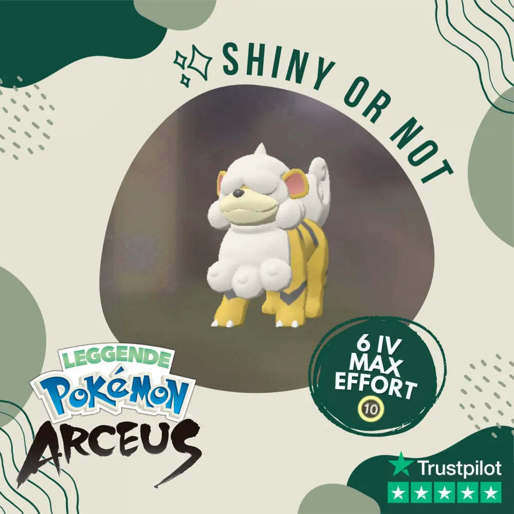 Growlithe Hisui Shiny ✨ Legends Pokémon Arceus 6 IV Custom OT Level Gender
