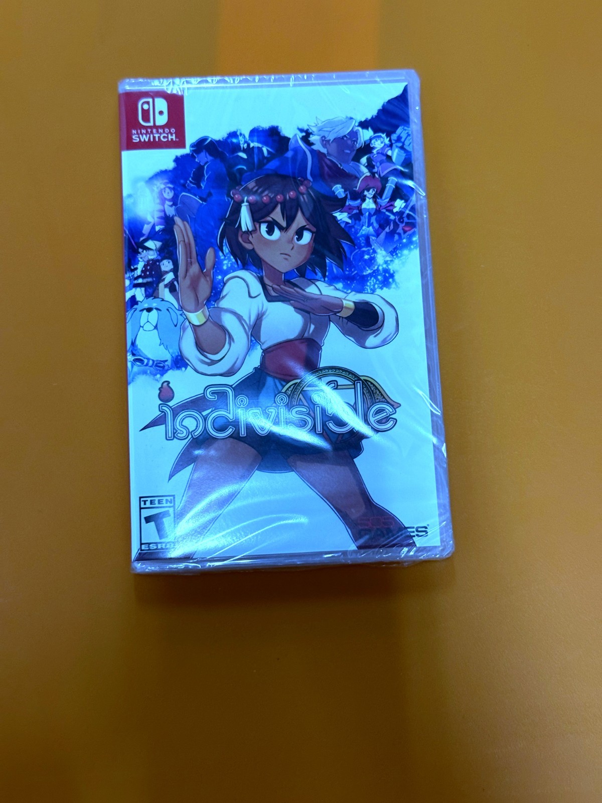 Indivisible – Nintendo Switch