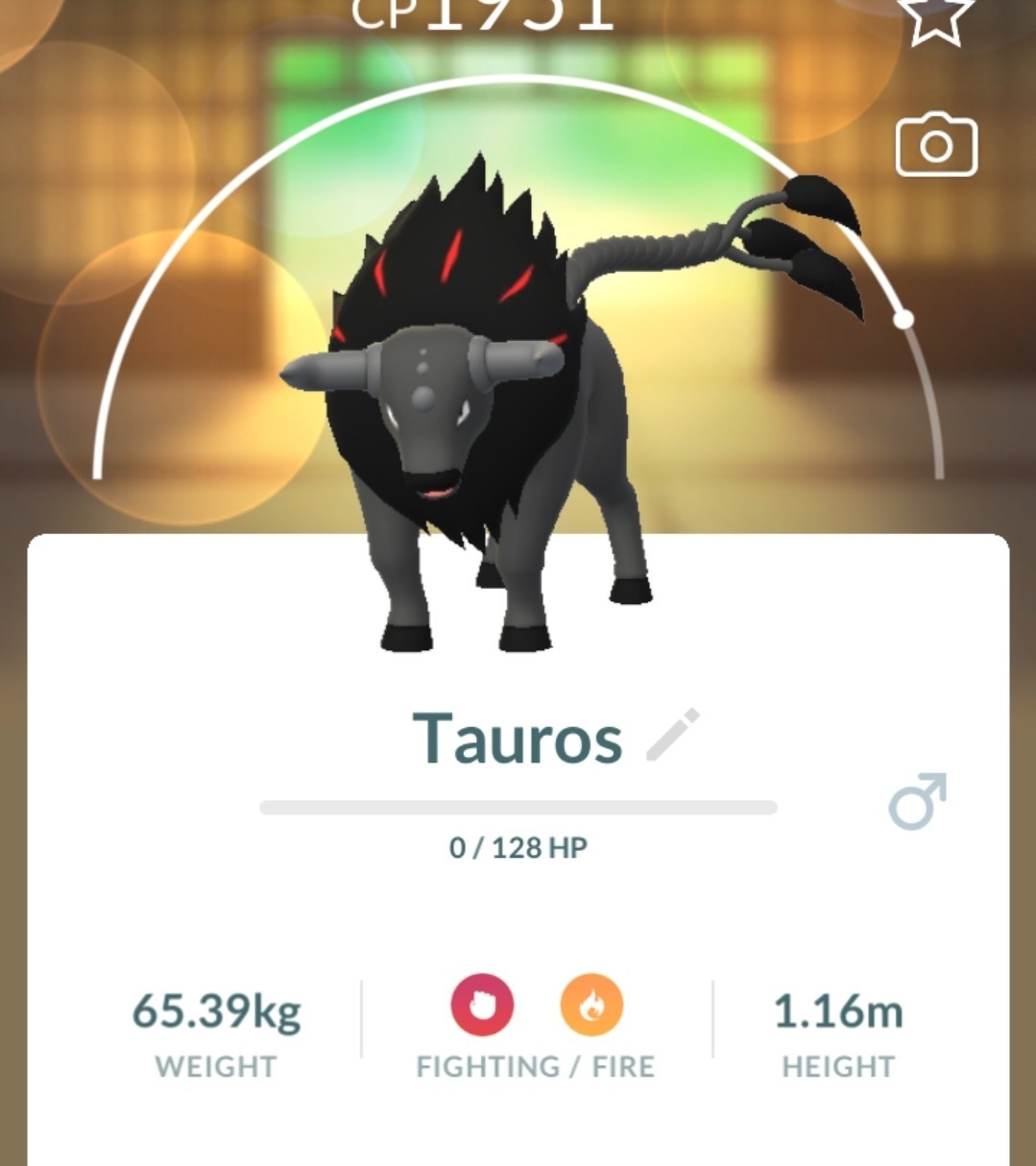 Paldean Tauros Blaze Trade ! Regional Special Collect Today Pokémon Go