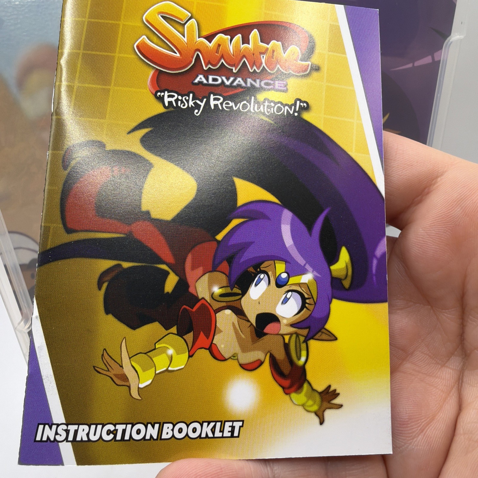 Shantae Advance Risky Revolution LRG 10th Anniversary Variant (Nintendo Switch)