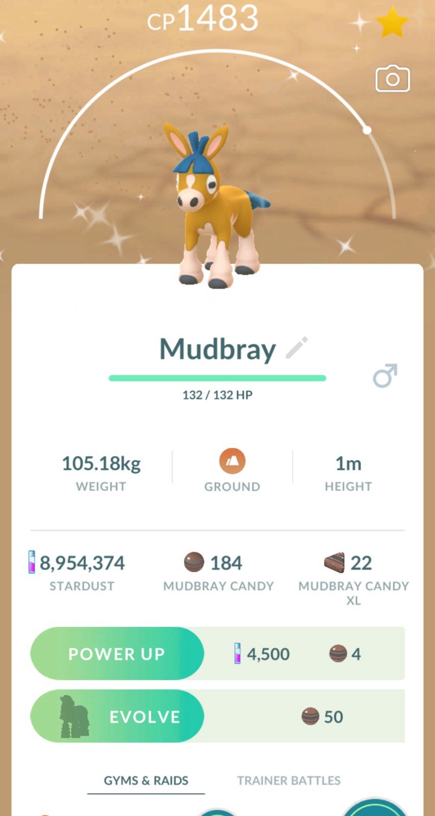 Shiny Mudbray 30 Days Friendship Available