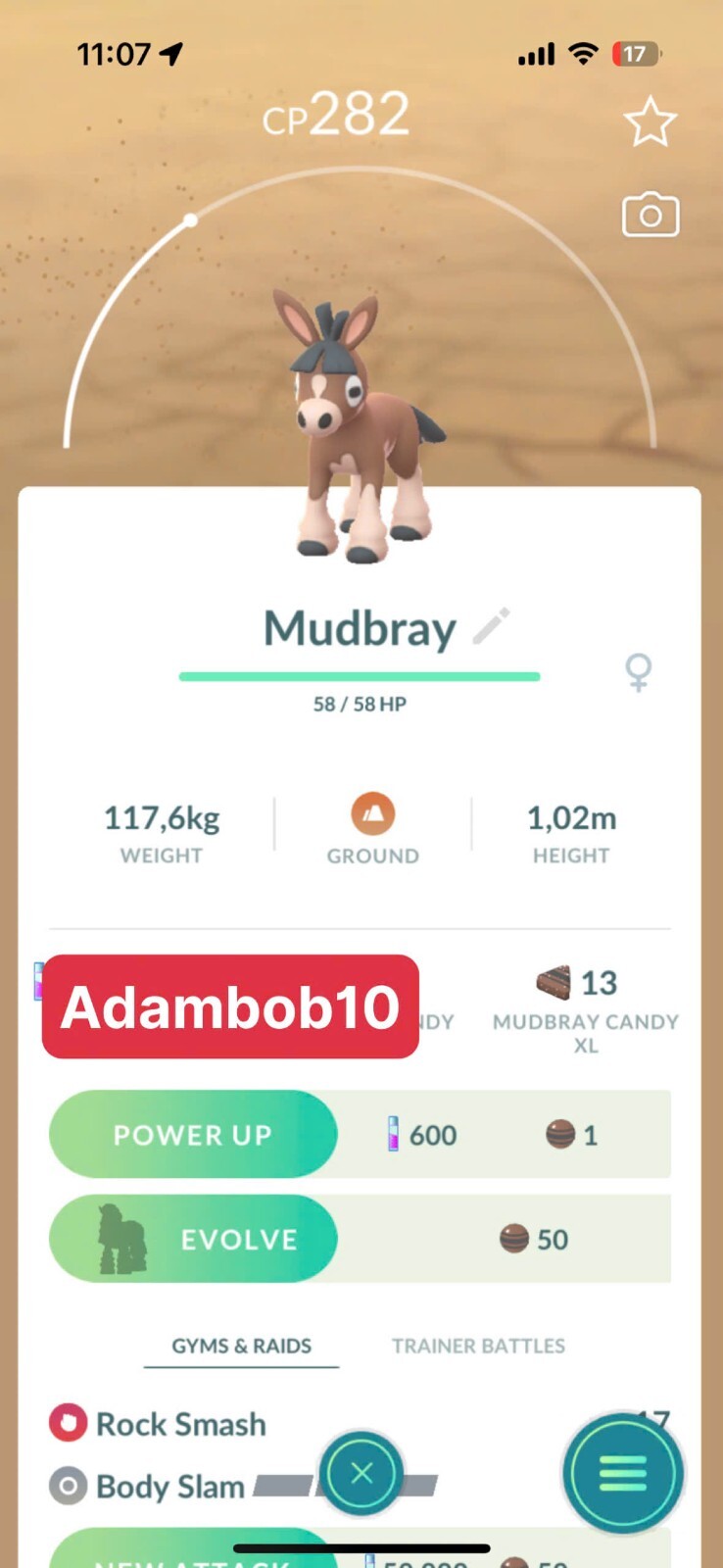 Pokémon Go | Non Shiny Mudbray Safari 2025 | Trade 20K Stardust