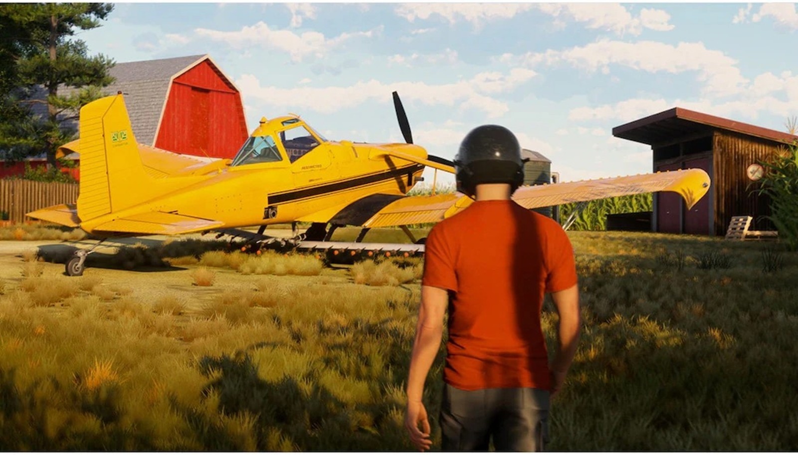 PS5 Microsoft Flight Simulator 2024 Online Only PlayStation 5 From JAPAN