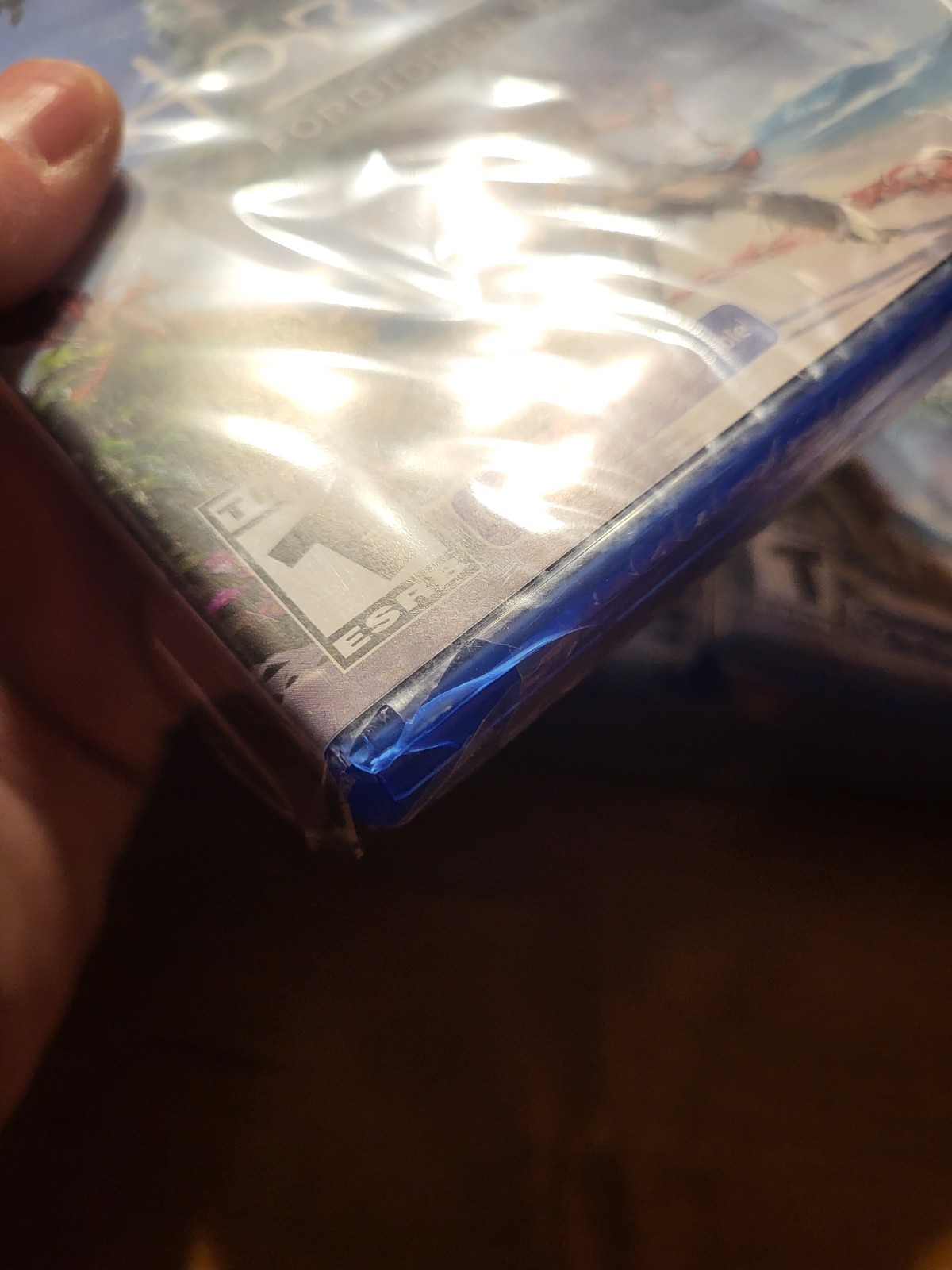 PS4 Playstation 4 Horizon Forbidden West LAUNCH EDITION READ