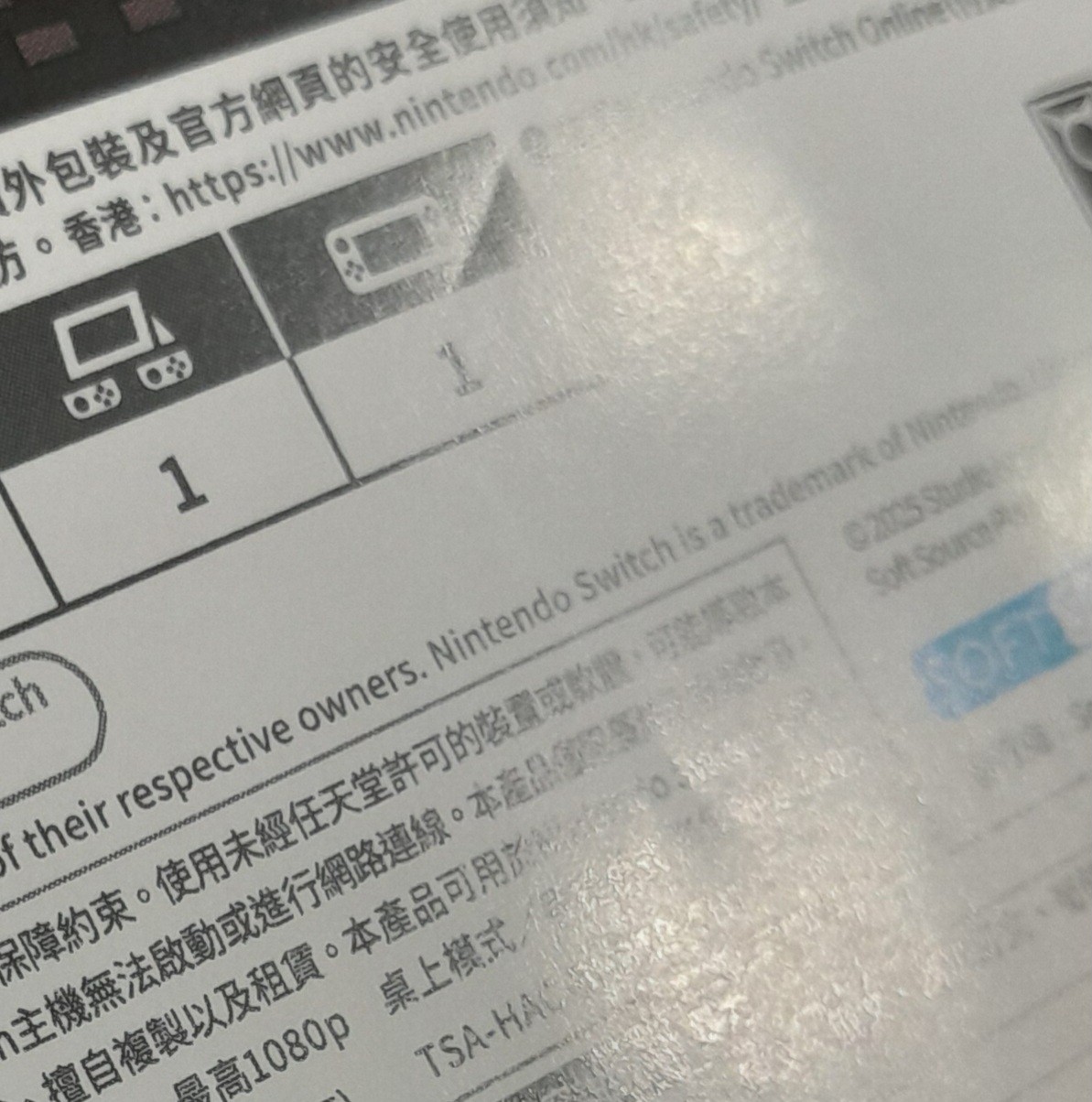Gigasword (Nintendo Switch, Asian Import/ Multilanguage, region-free)