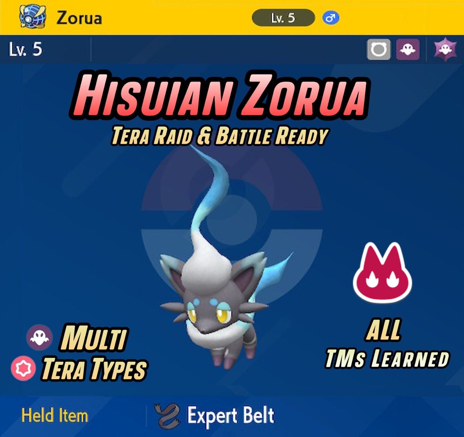 ZORUA HISUIAN • ALPHA SHINY 6IV & EGGs | Custom OT 🌟 Pokemon Scarlet and Violet