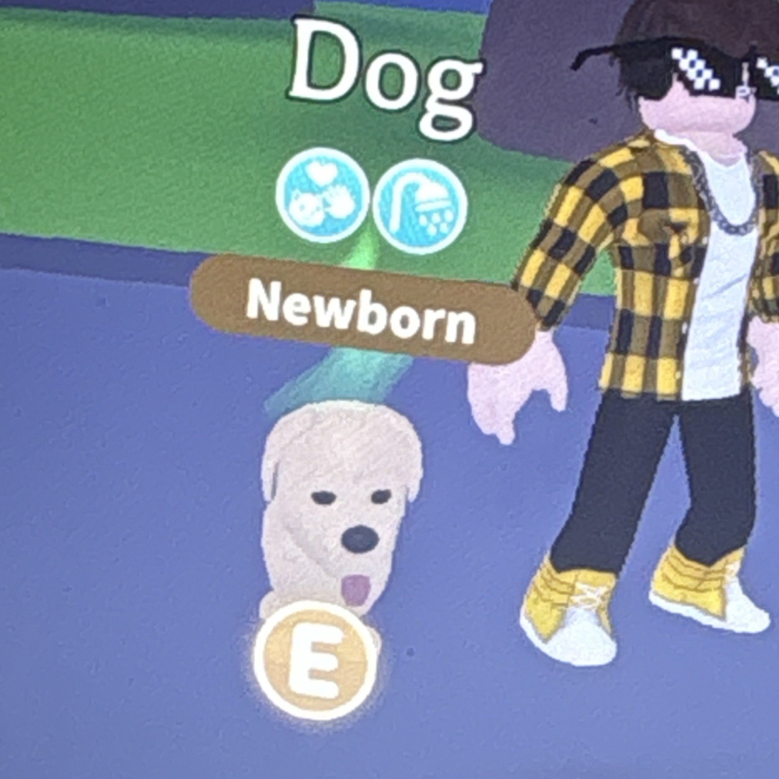 Adopt Me! Dog Newborn Virtual Pet PC Multiplayer In-Game Item