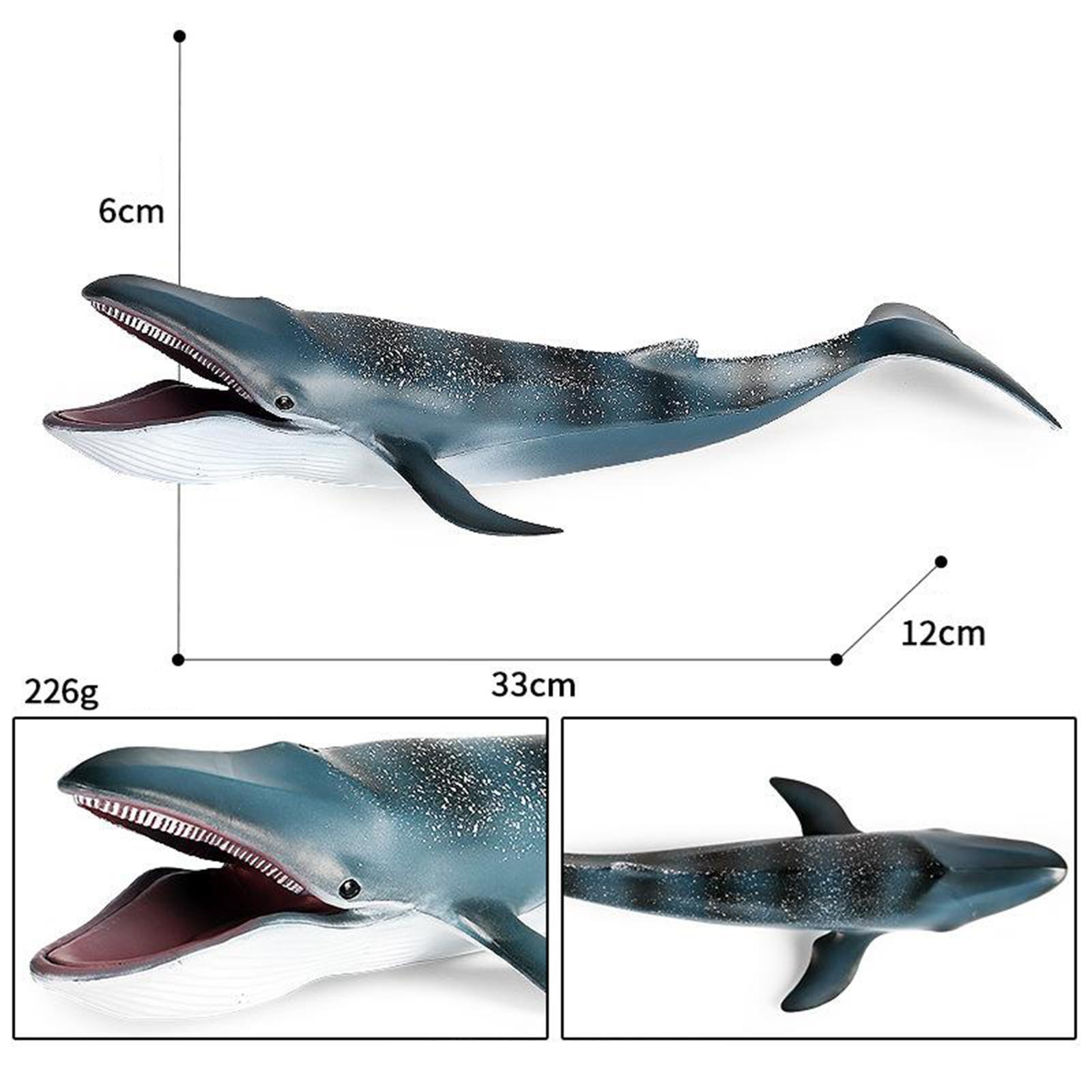 Action Figures Sea Animal Creature Model Learning Toy