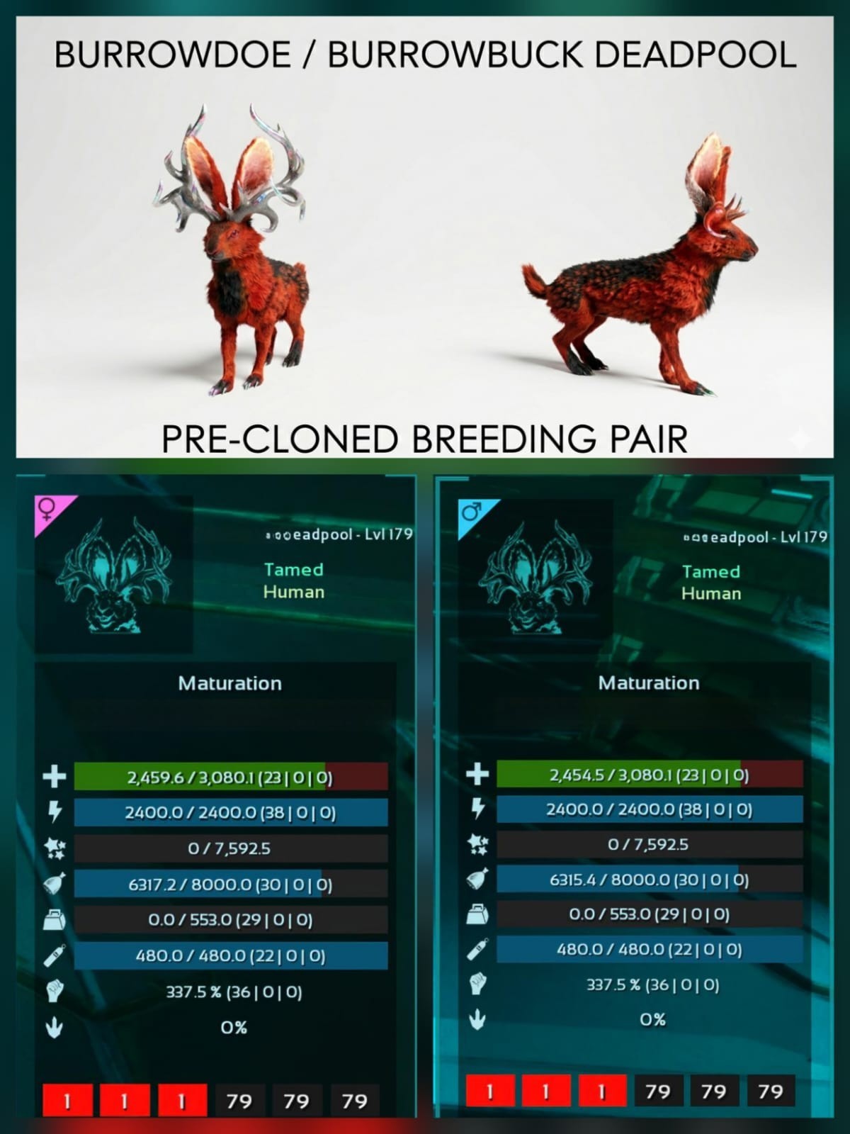 BURROWDOE BURROWBUCK Pre-Cloned Ark Survival Ascended Official PVE PC/XBOX/PS5
