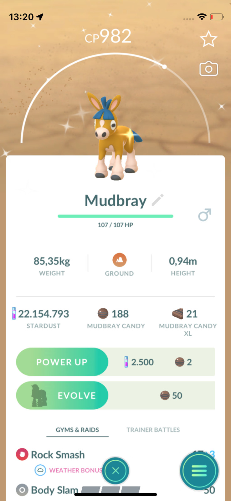 ✨Pokemon | SHINY City Safari 2025 Mudbray | Read The Description!!✨