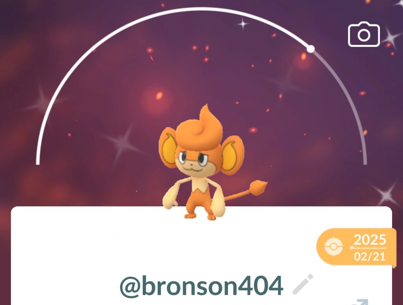 Pokemon Shiny Pansear TR–ADE G0 Unregistered