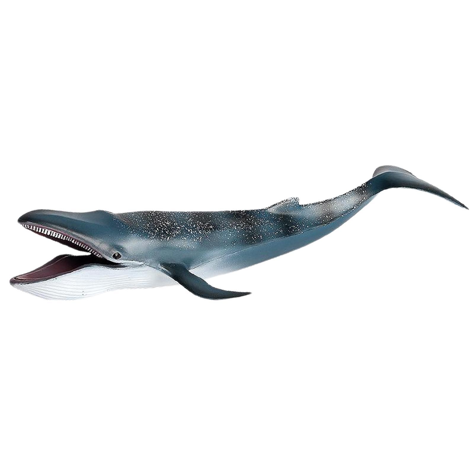 Action Figures Sea Animal Creature Model Learning Toy