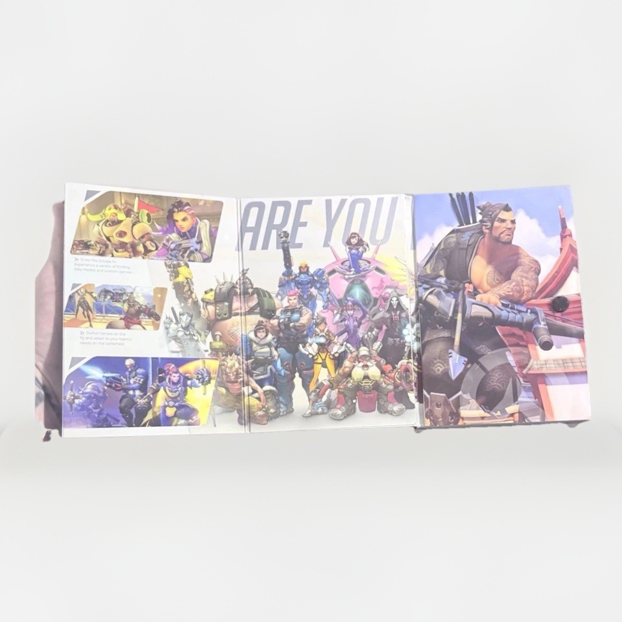 Activision Blizzard Overwatch Legendary PC CD Edition – 73052 Video Game