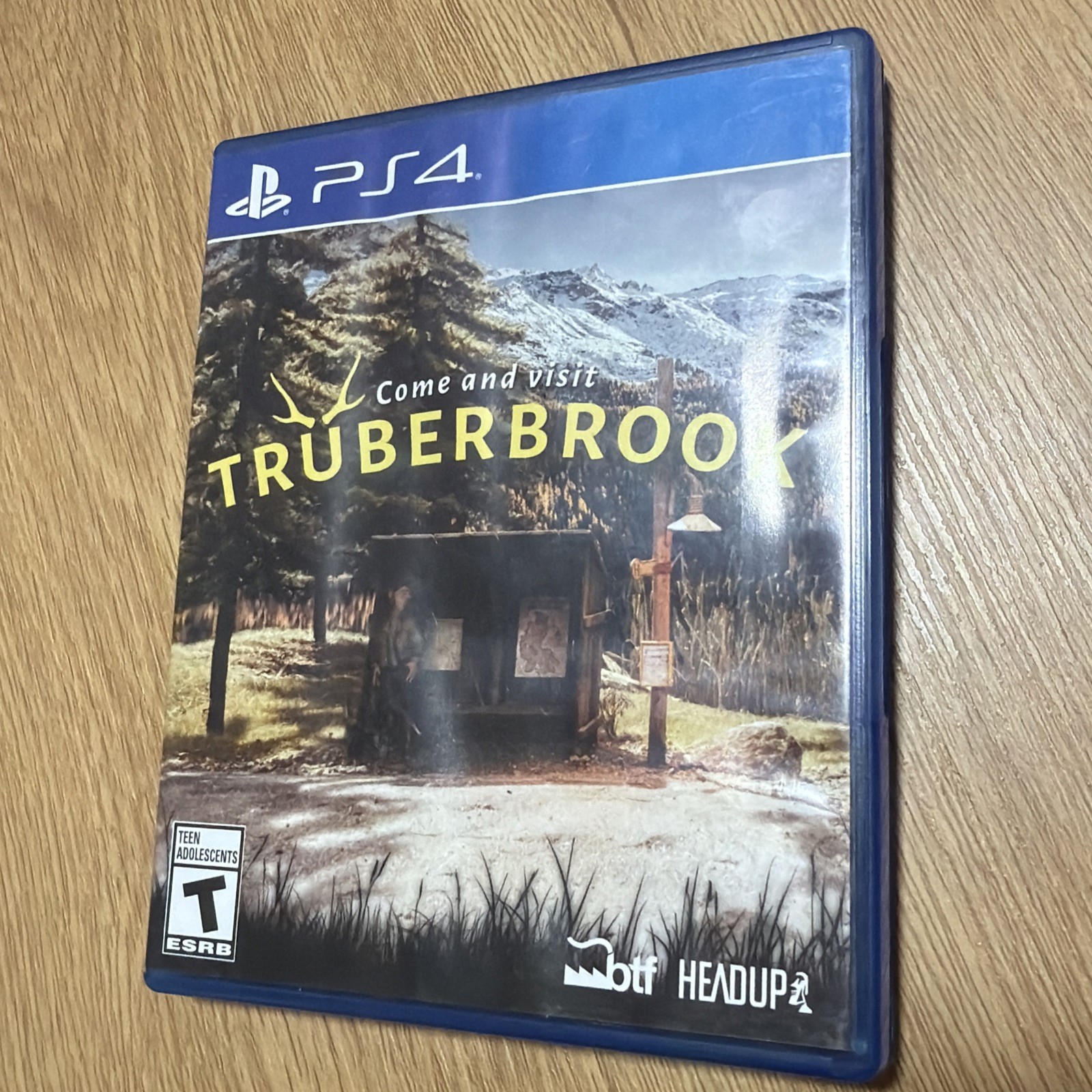 Truberbrook Standard Edition PS4 Video Game Adventure Mystery