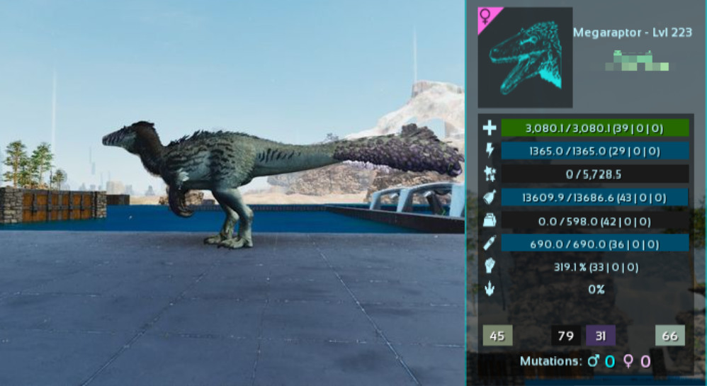 MEGARAPTOR- 223 NEW!!!-Valguero-Survival Ascended-Dino- Top-PC/XBOX/PS5 PvE ASA