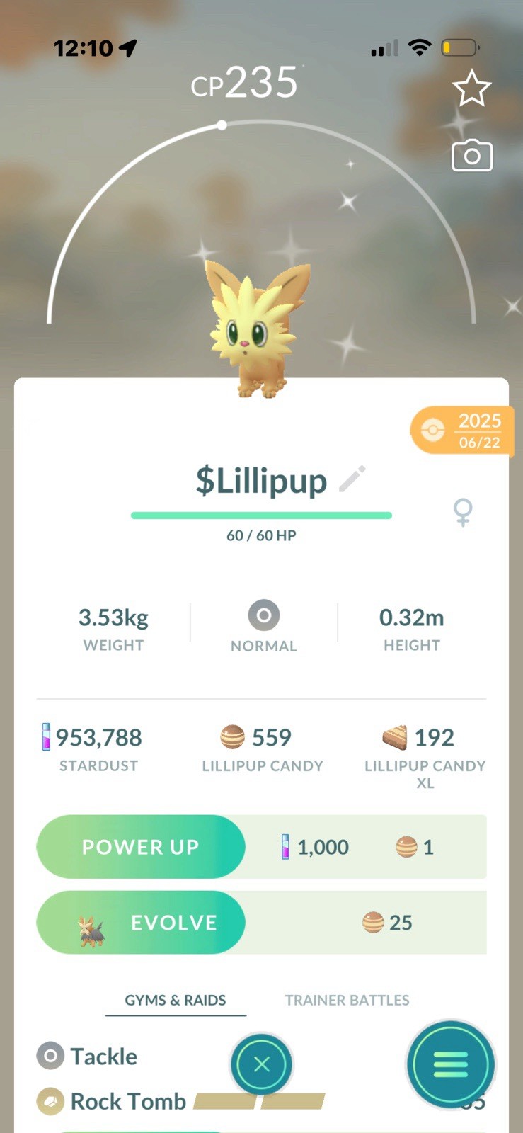 ✨Lillipup shiny TRADE✨ link trade Pokémon GO Friendship Android iOS