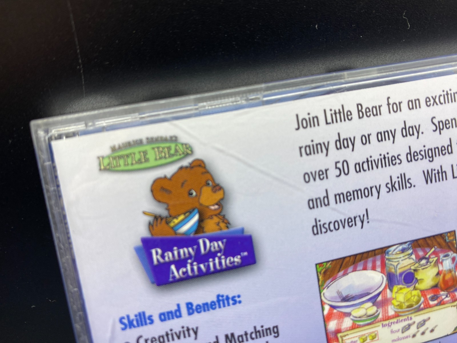 Little Bear Rainy Day Activities (PC CD, 2001) CIB Complete in Case RARE HTF