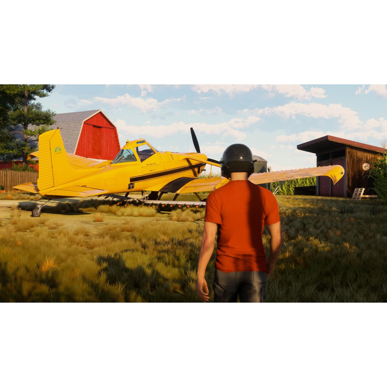 Microsoft Flight Simulator 2024 PS5 Game JAPANESE VERSION New Region Free