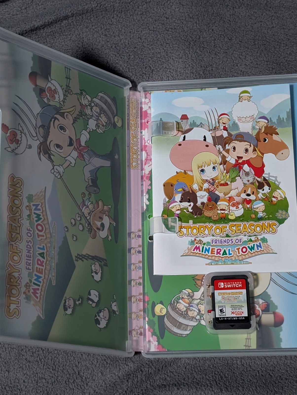 Story of Seasons: Friends of Mineral Town – Nintendo Switch
