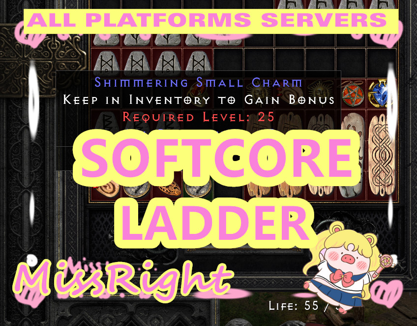 5 All Resistance Small Charm SC🌺Diablo 2 D2R Softcore LADDER🌺PC-SWITC-PS-XBOX