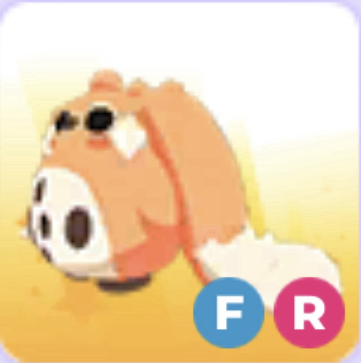 Adopt Me F R Cabbit