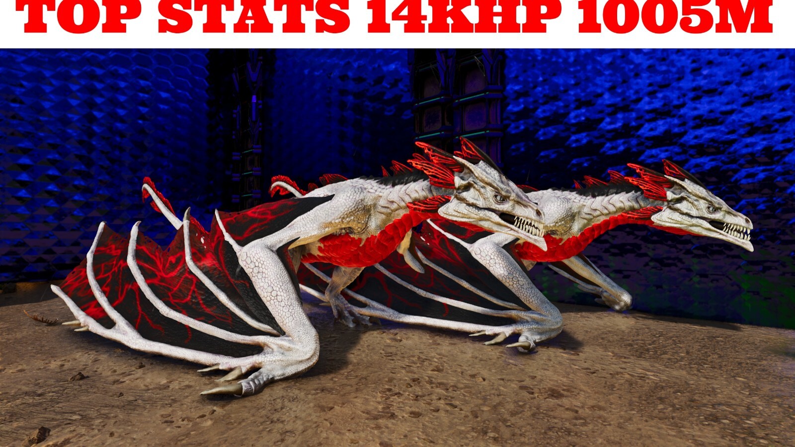ARK Survival Ascended PvE PC/XBOX/PS Top Dracula Lightning Wyvern 1005m (dragon)