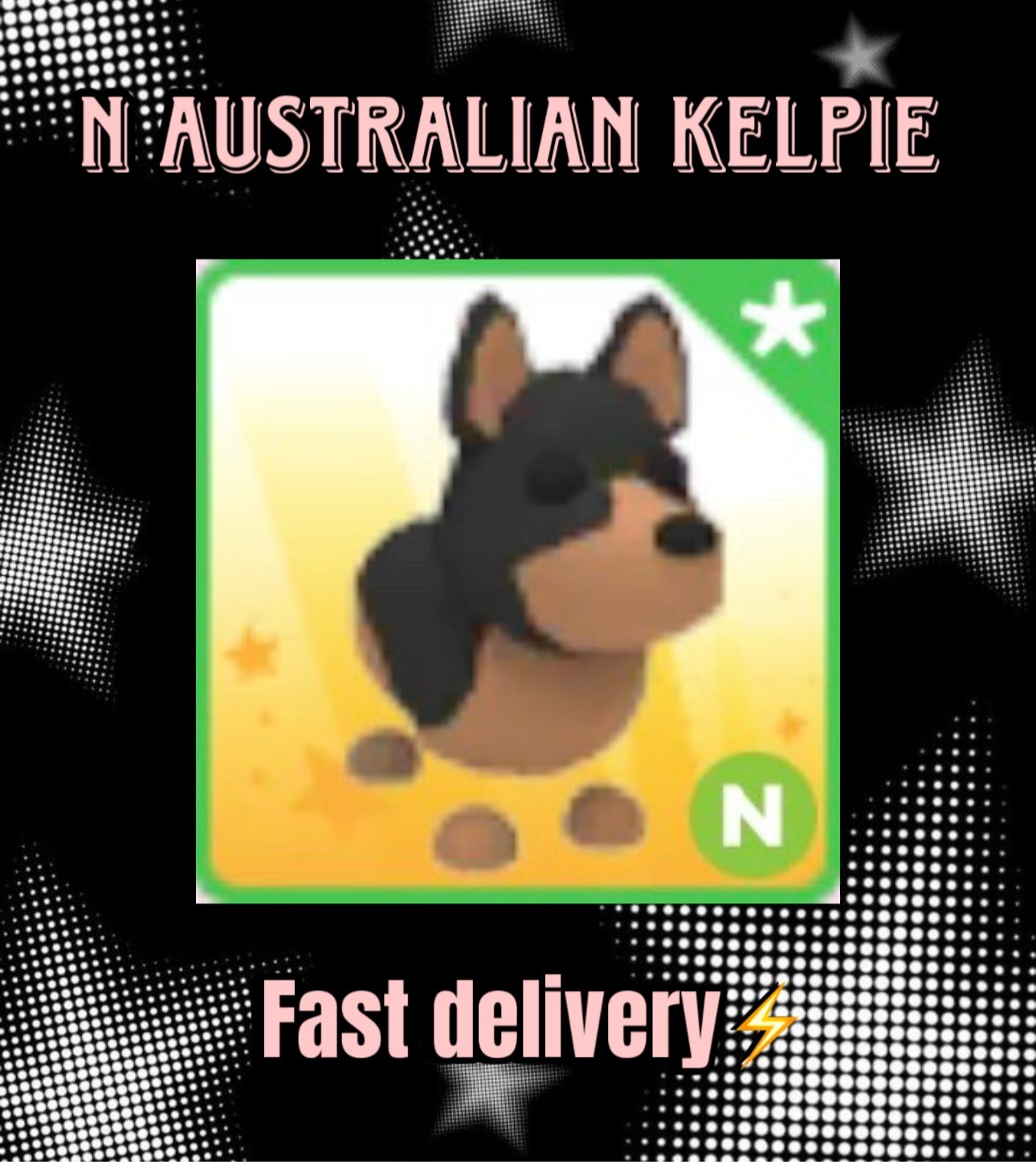 N Australian Kelpie – Adopt Me [NEON]