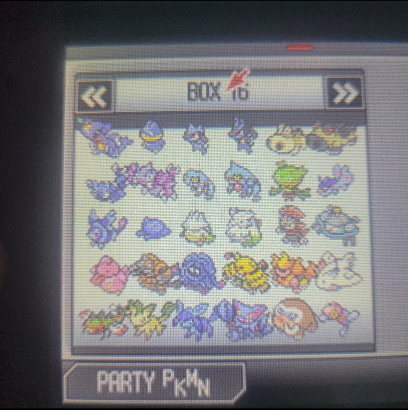 Unlocked Authentic Pokemon Black Nintendo DS | All 649 SHINY Pokemon | All Items