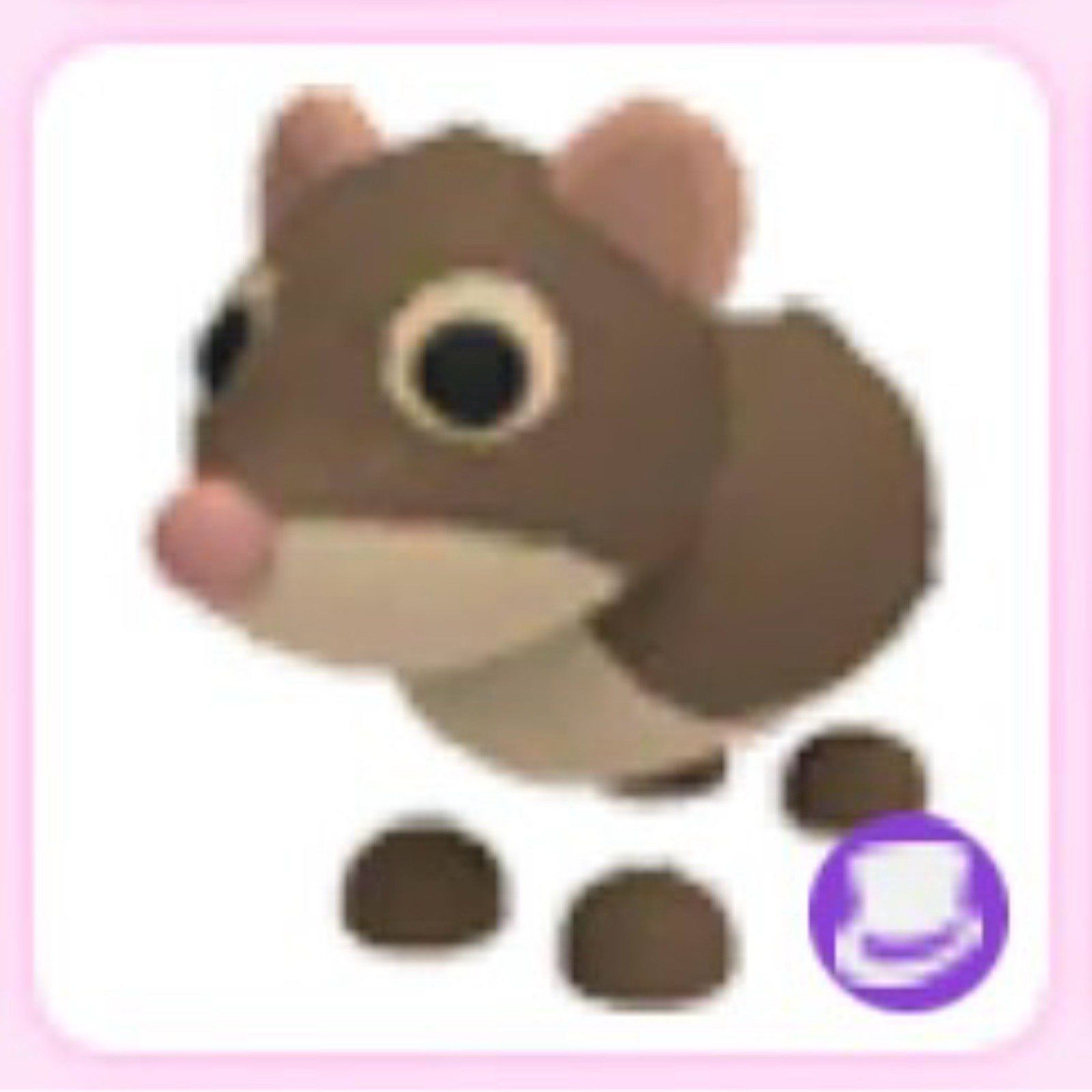 Shrew !! Adopt Me 🍀