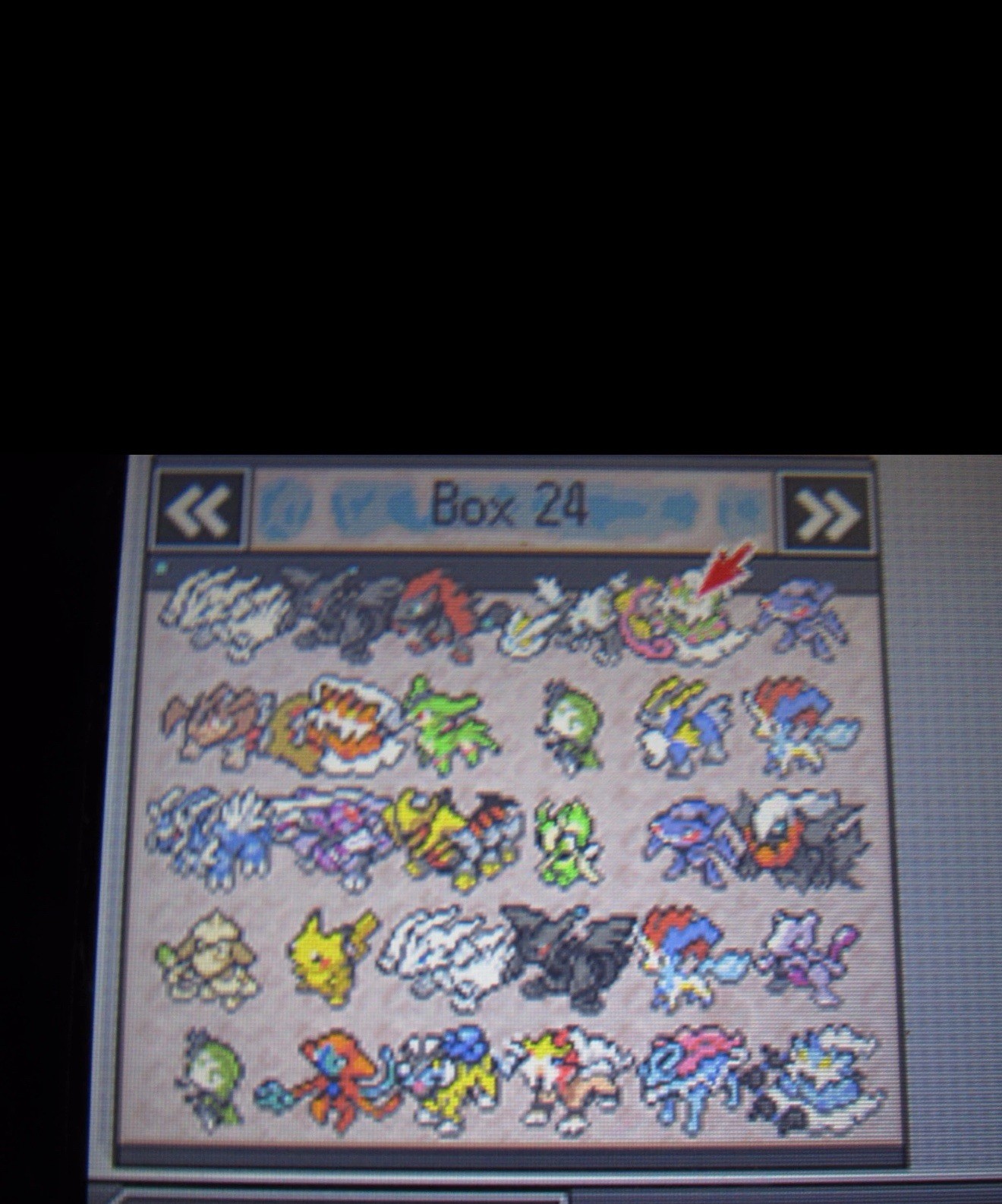 Unlocked Authentic Pokemon Black Nintendo DS | All 649 SHINY Pokemon | All Items