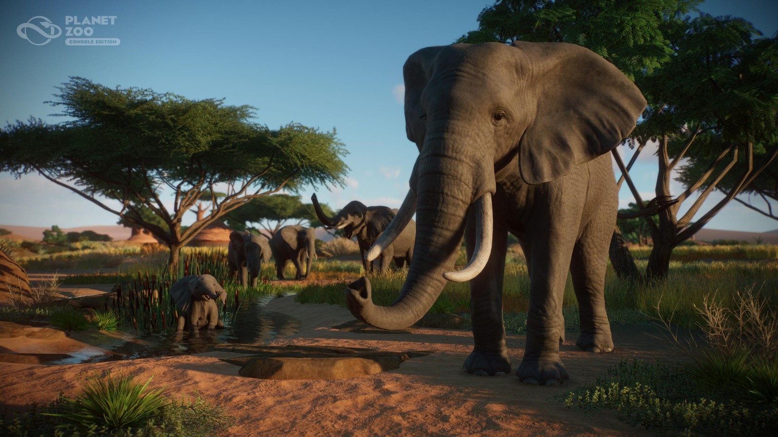 Planet Zoo: Console Edition – PlayStation 5 [video game]